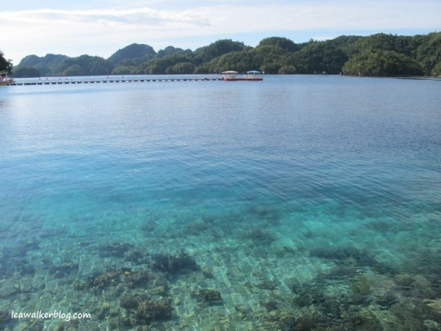 Hidden Island Resort