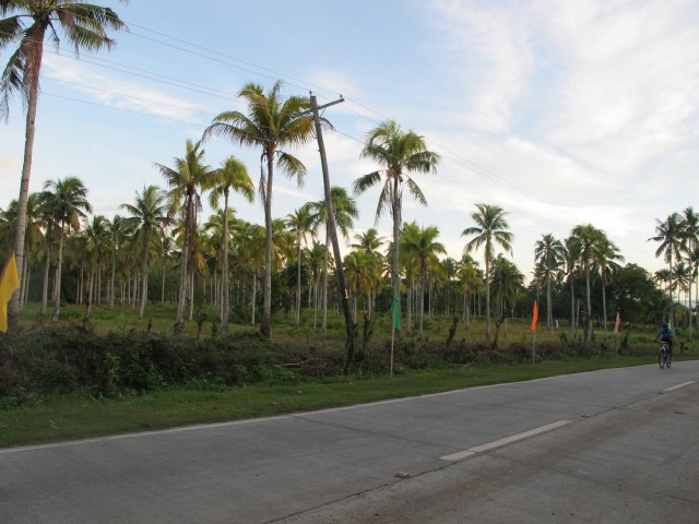 lot for sale samal island davao city philippines (12)