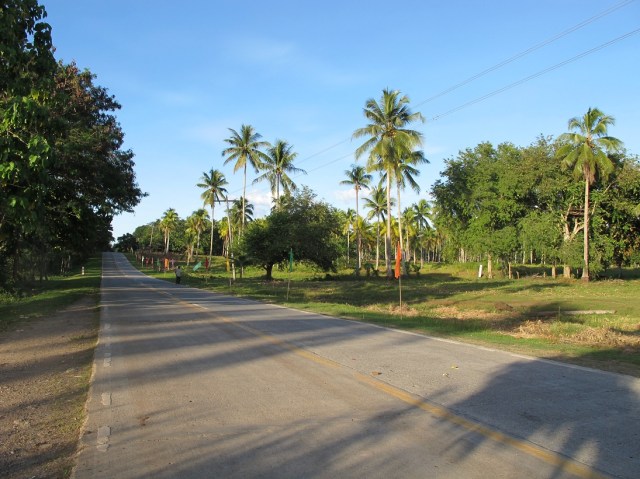 lot for sale samal island davao city philippines (4)