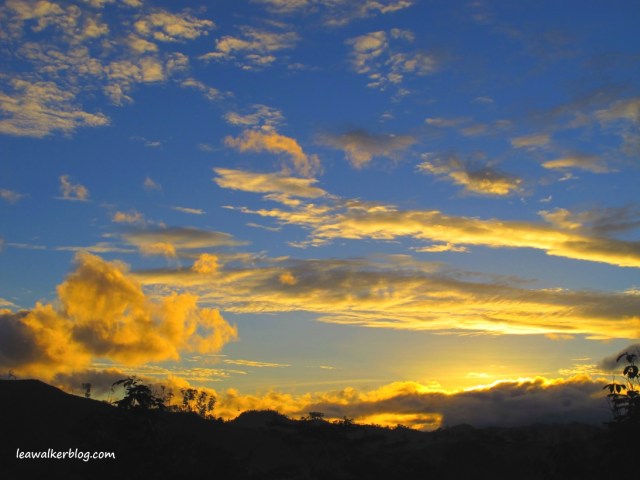 A beautiful start to a wonderful day... Taken at Pitcher Plant Farm, Malaybalay, Bukidnon. 