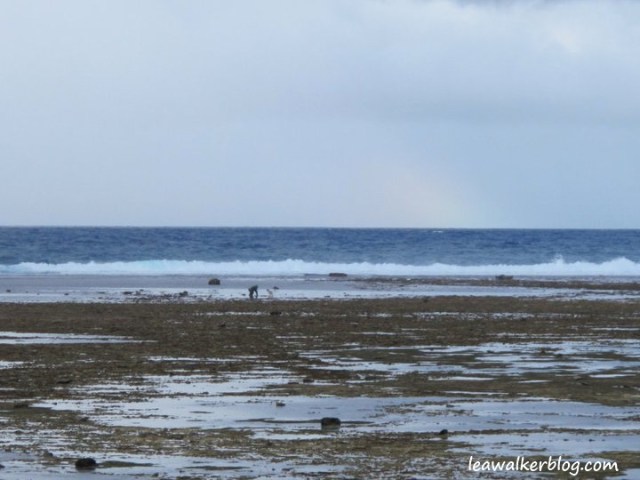 223558_204909116208955_510821_n[1]