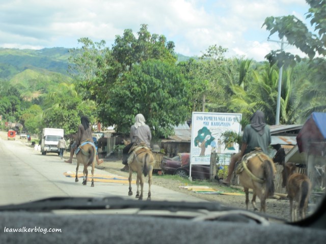 Davao - Bukidnon Roadtrip (11)