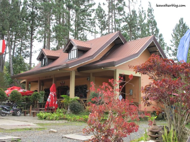 The Coffee Shop, beside Seagull Mountain Resort. 