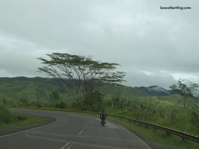 The winding road in Buda. I can't say it enough, I love the place! 