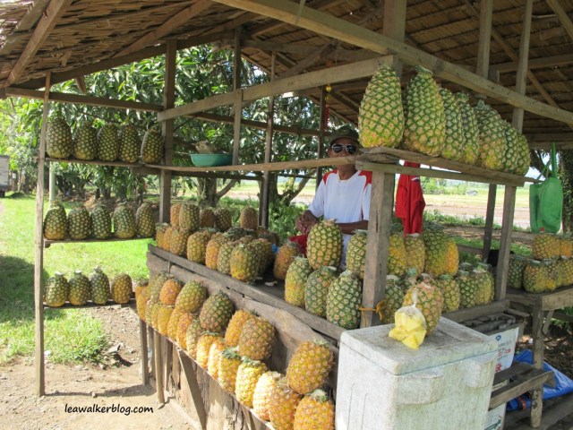 Davao - Bukidnon Roadtrip (5)