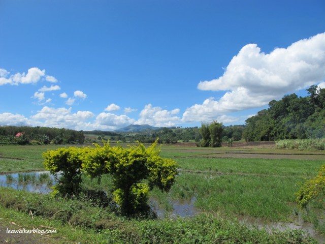 Davao - Bukidnon Roadtrip (7)