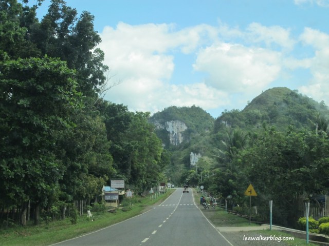 Davao - Bukidnon Roadtrip (8)