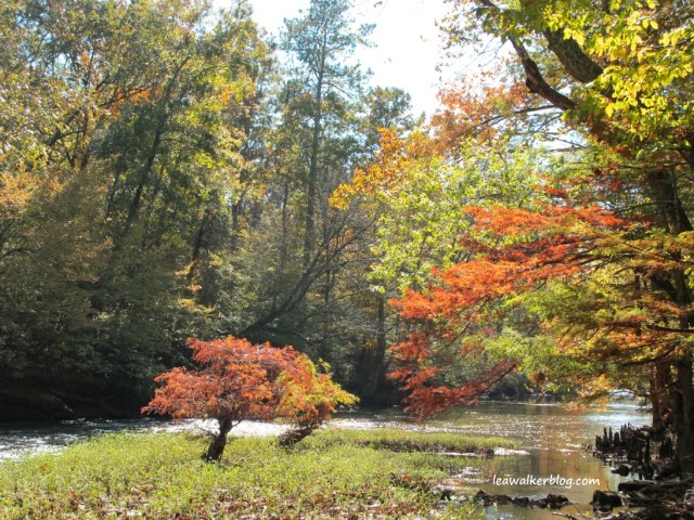 John brought me to his favorite place at Tishomingo State Park. 