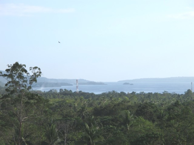 overlooking lots for sale in Samal Island (12)