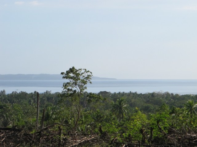 overlooking lots for sale in Samal Island (5)