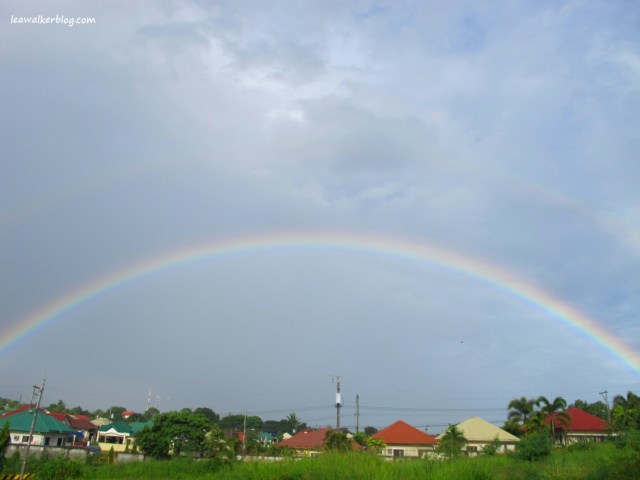 The view outside our window. 