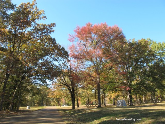 Shiloh National Park