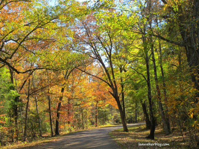 Shiloh National Park