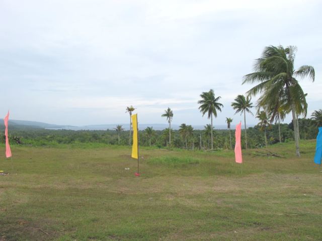 The view from our property on a cloudy afternoon... Beautiful right? :)