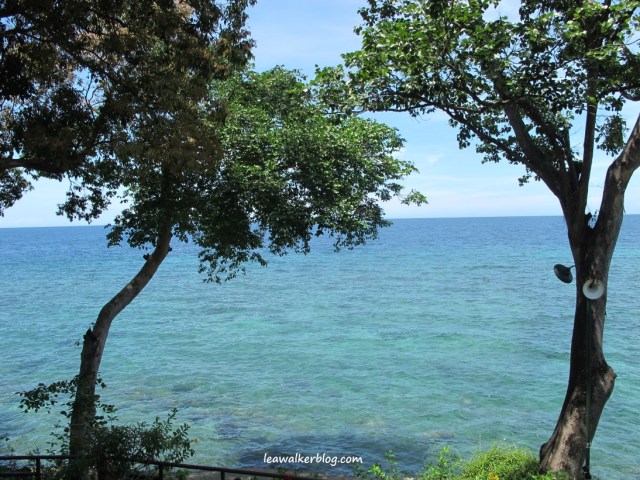 The view from our porch.. 