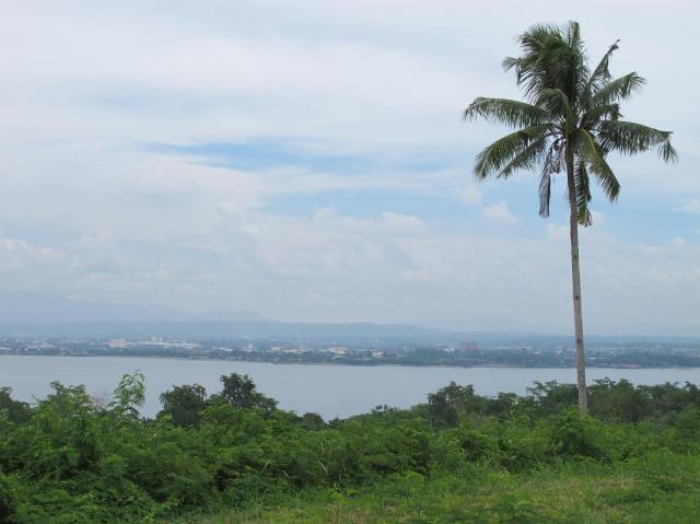 playa azalea lots for sale samal island philippines  (13)