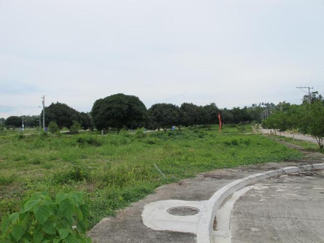 playa azalea lots for sale samal island philippines  (14)