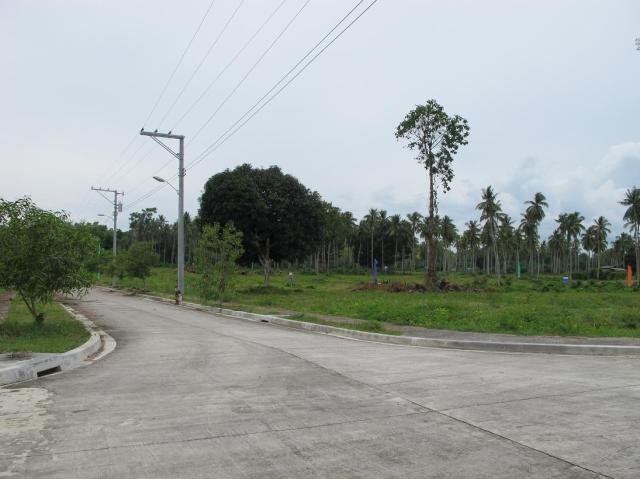 playa azalea lots for sale samal island philippines  (20)