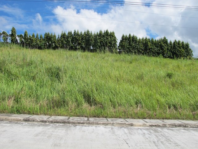 Monteritz Lots For Sale Davao City Philippines (11)