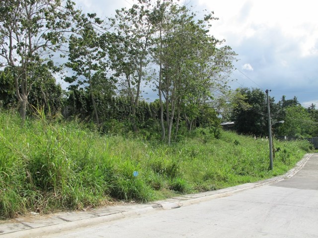 Monteritz Lots For Sale Davao City Philippines (14)
