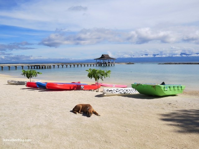 Renty, the resident dog. :) 