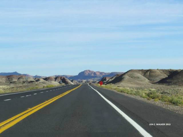Chocolate hills beside the road. 