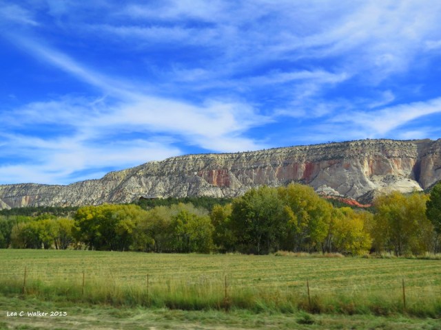 Utah (13)