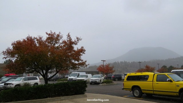 Let it snow, let it snow, let it snow...