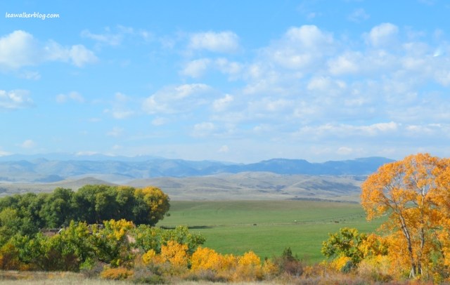 This is the view I saw at the boundary of Wyoming and Colorado. 