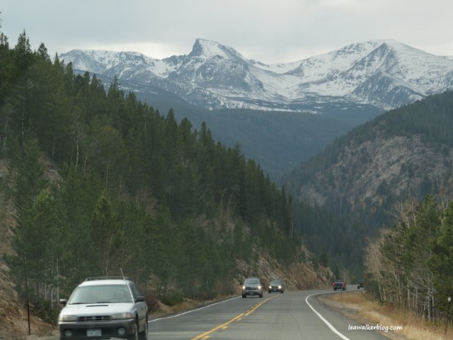 rocky mountain