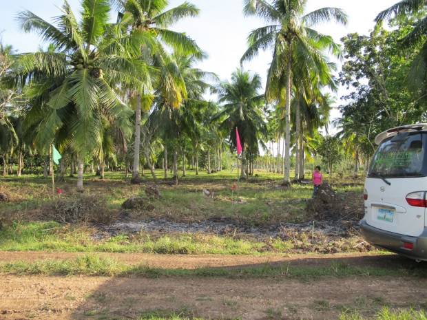 samal island residential property for sale (2)