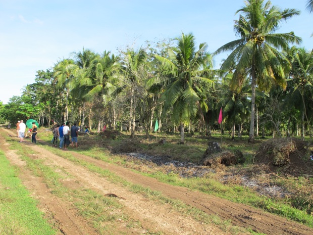 samal island residential property for sale (4)