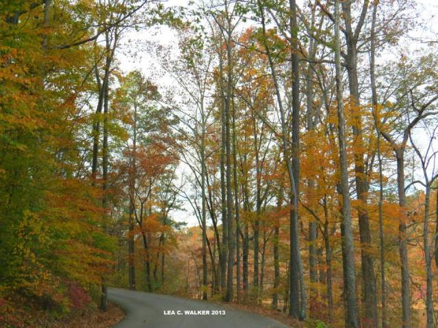 jp coleman state park (5)