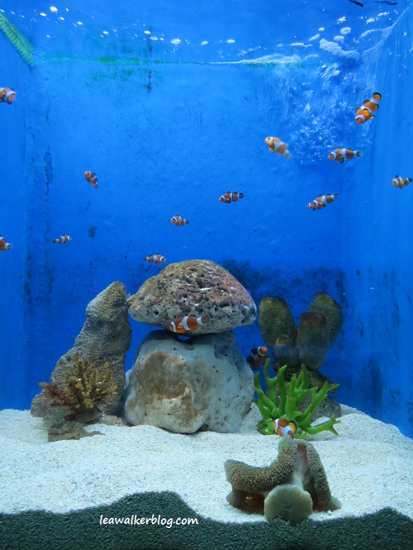 manila ocean park