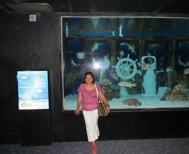 manila ocean park