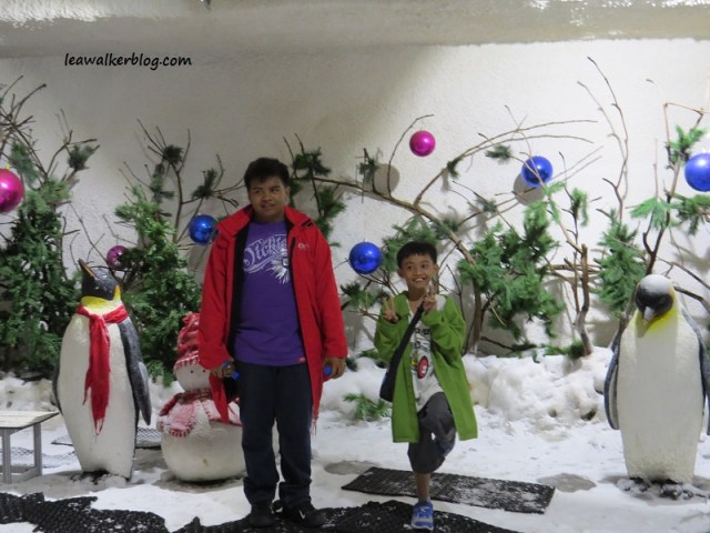 Trails to Antarctica