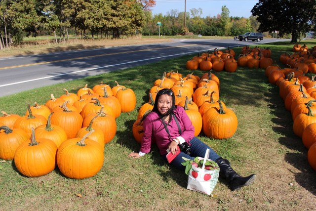 apple picking adirondacks mountains (14)