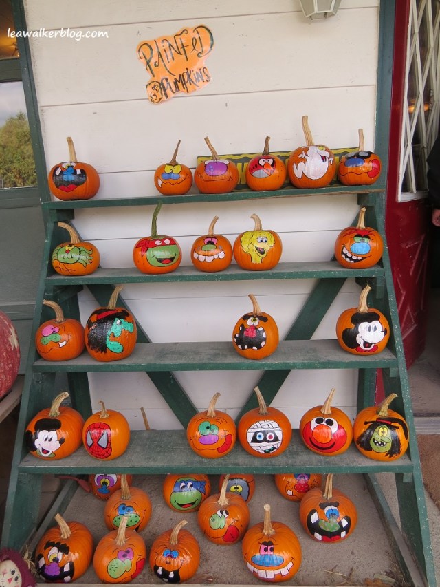 apple picking adirondacks mountains (15)