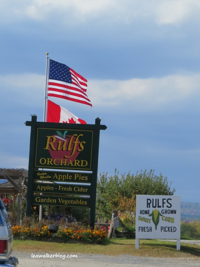 apple picking adirondacks mountains (24)