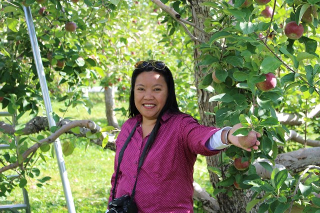 apple picking adirondacks mountains (5)