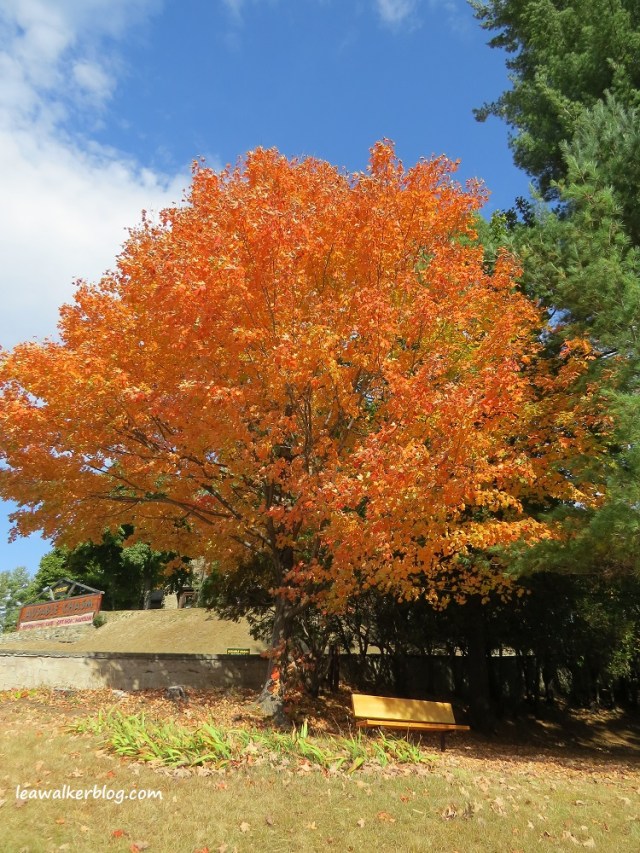 ausable chasm adirondacks mountains new york (14)