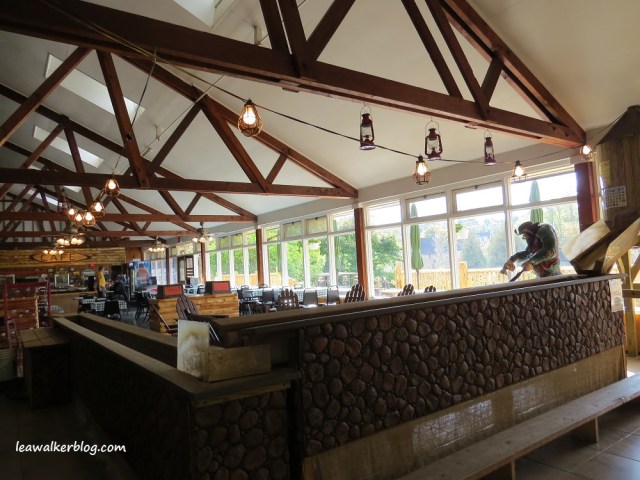 ausable chasm adirondacks mountains new york (5)