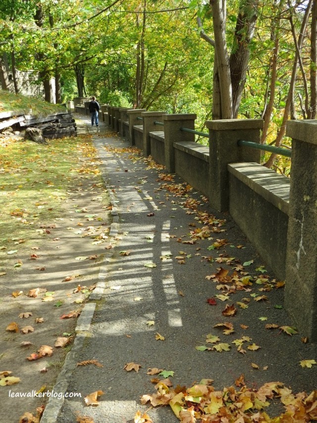 ausable chasm adirondacks mountains new york (8)