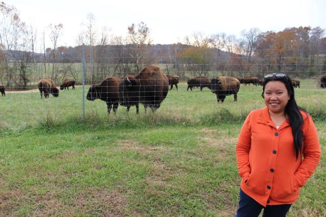 At the Land Between The Lakes in Kentucky. 