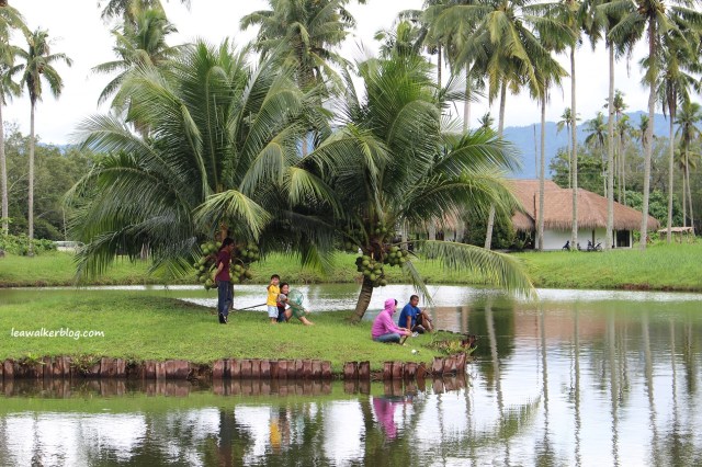 Banana Beach Resort, leawalkerblog (26)