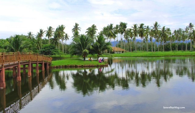 Banana Beach Resort, leawalkerblog (27)