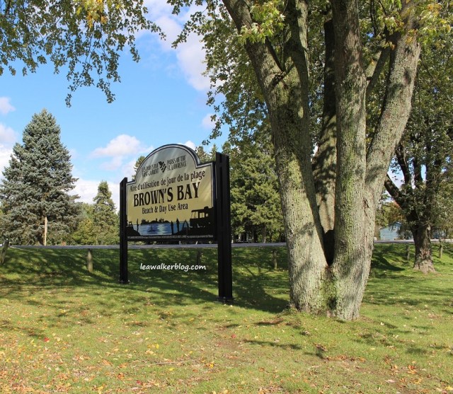 Brown's Bay Park (1)