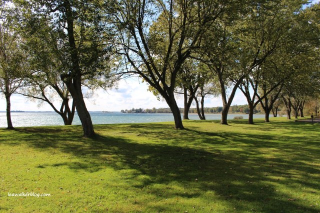 Brown's Bay Park (6)