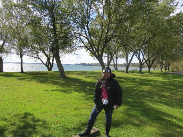 Brown's Bay Park (8)