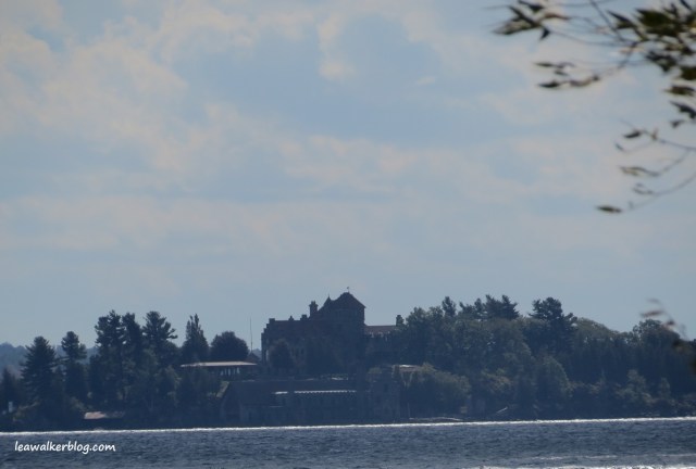 Brown's Bay Park (9)